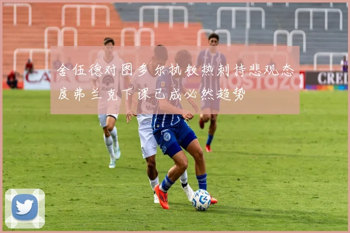 舍伍德对图多尔执教热刺持悲观态度弗兰克下课已成必然趋势
