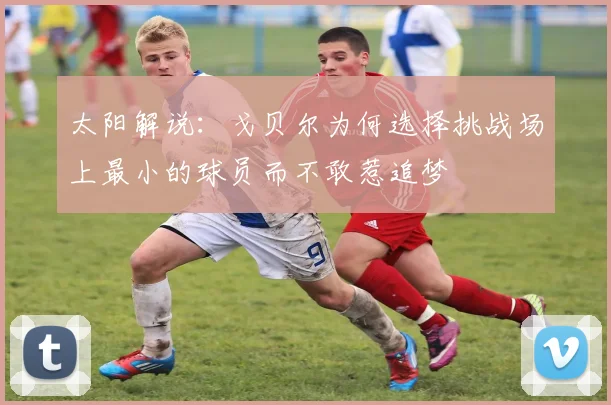 太阳解说：戈贝尔为何选择挑战场上最小的球员而不敢惹追梦