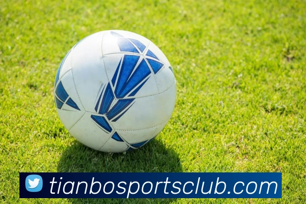 天博体育服务体系